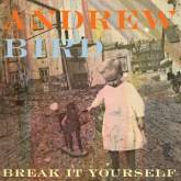 Andrew Bird : Break It Yourself